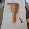 Antonella's Forest Elephant