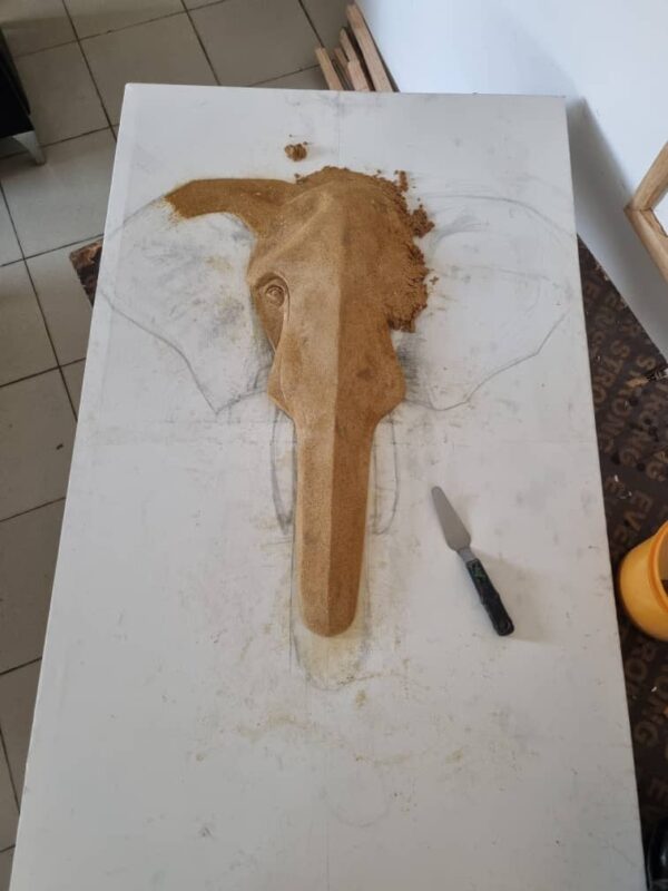 Antonella's Forest Elephant